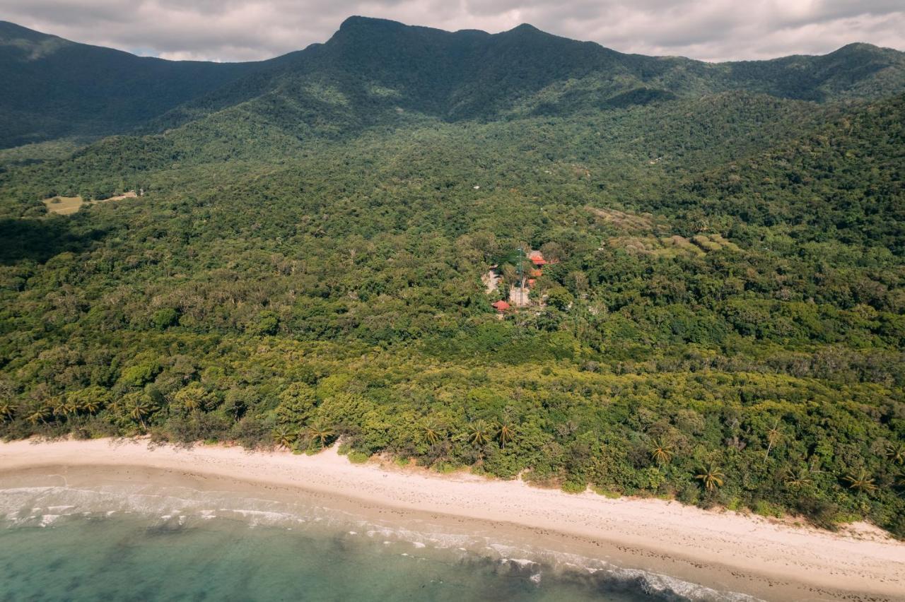 Pk'S Jungle Village Cape Tribulation Luaran gambar