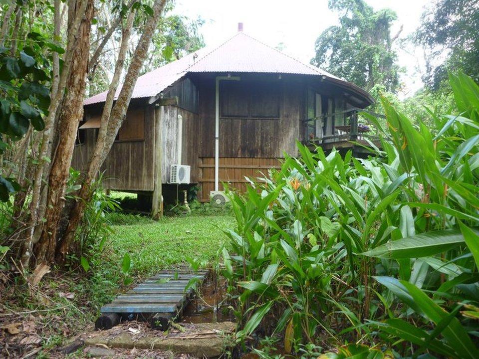 Pk'S Jungle Village Cape Tribulation Luaran gambar