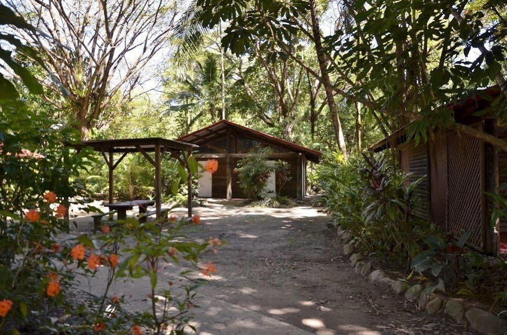 Pk'S Jungle Village Cape Tribulation Luaran gambar